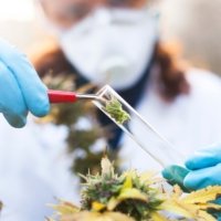 Real World Data & Patient Registries